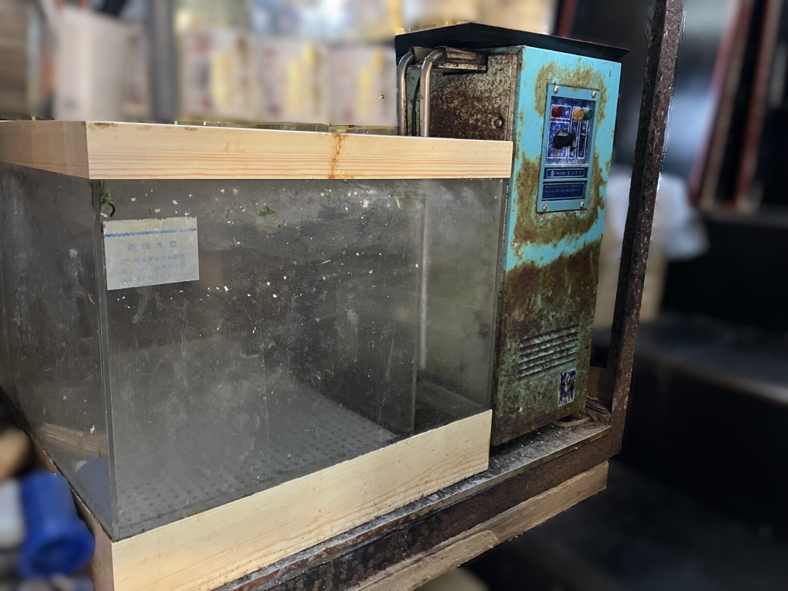 潮2型 架台特注 新規入替 活魚水槽3.jpeg