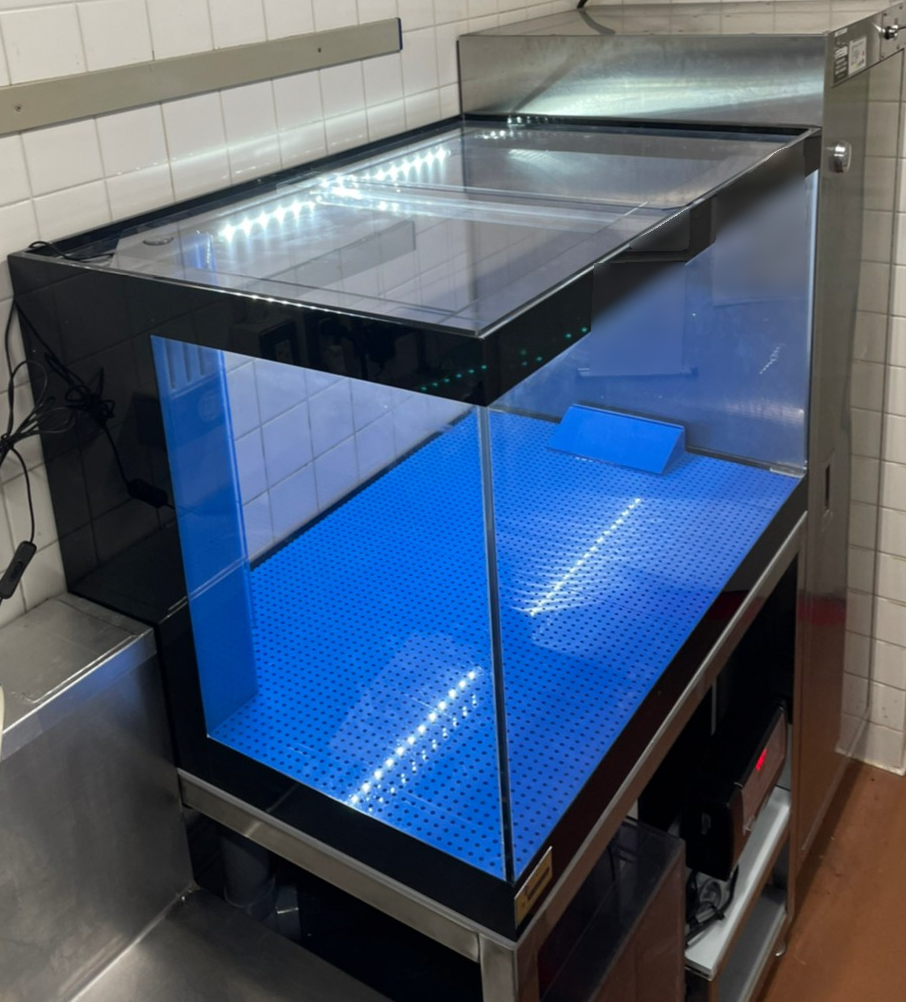 特注潮900ZD 新規導入 活魚水槽 | 水槽設置・メンテナンス施工ブログ