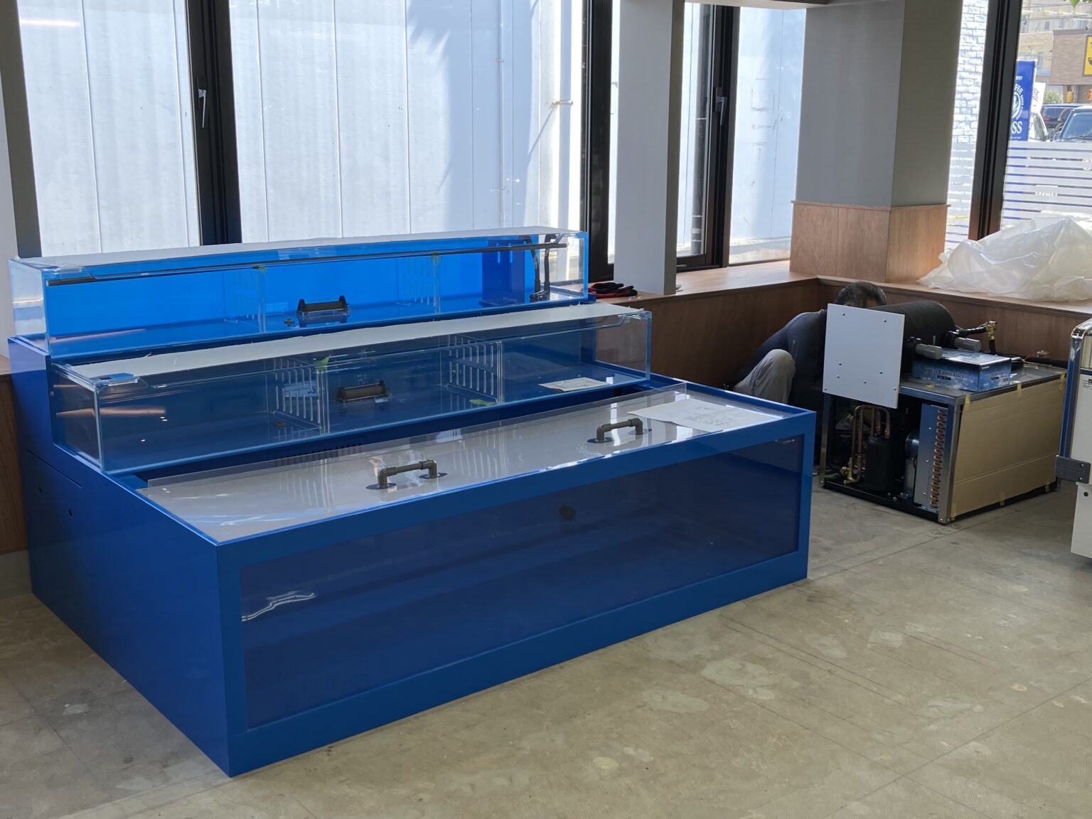 特注3段W2000 新規導入 活魚水槽 | 水槽設置・メンテナンス施工ブログ