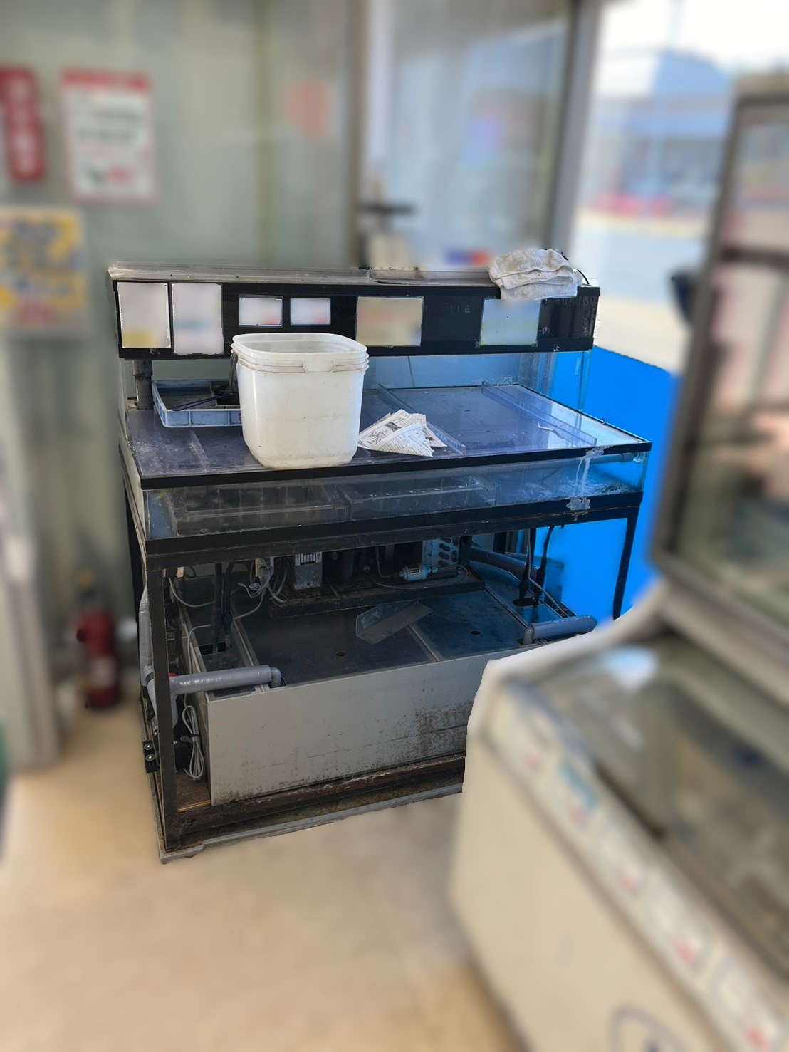 茨城県 活餌水槽 ポンプ交換1.jpg