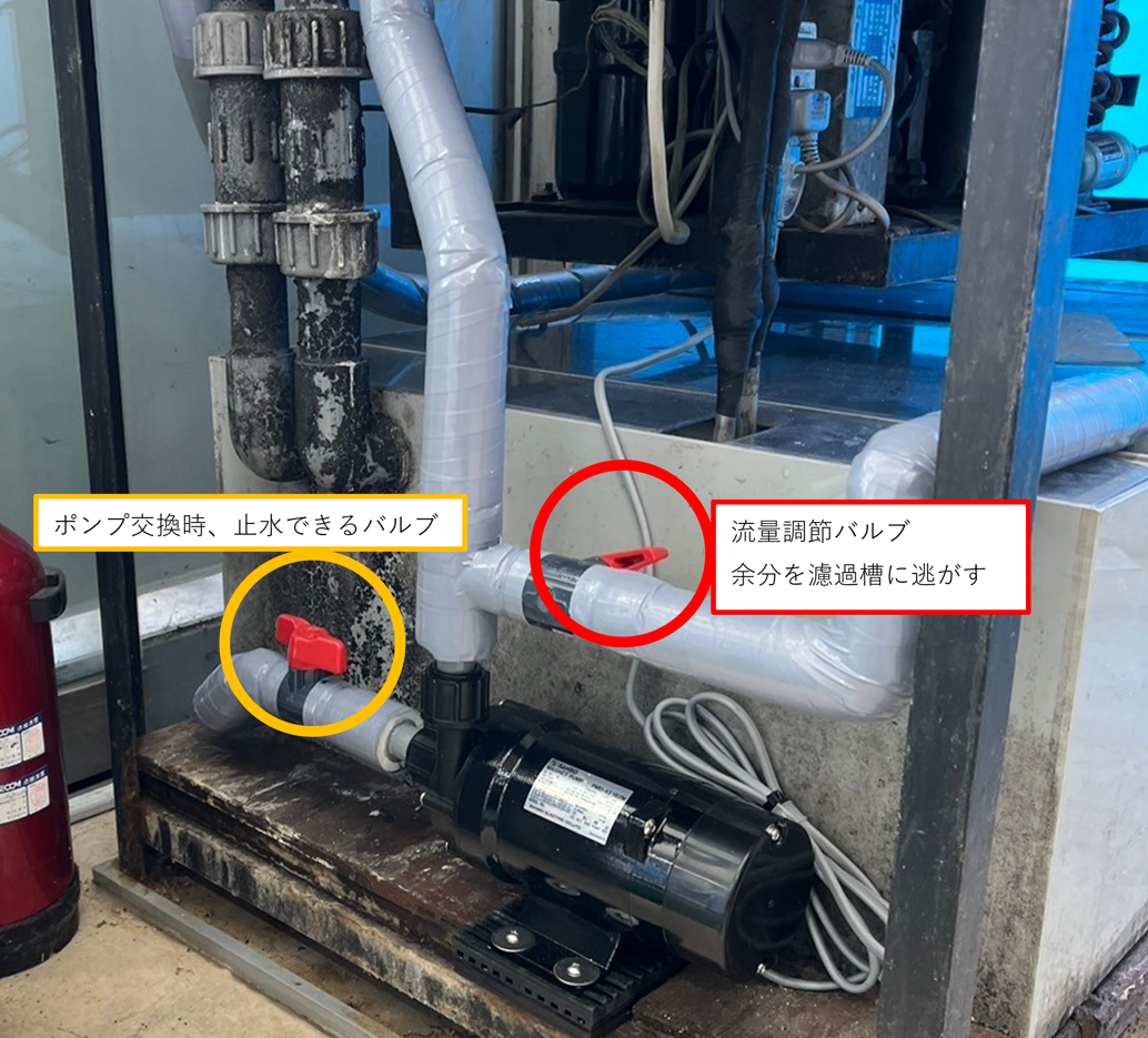 茨城県 活餌水槽 ポンプ交換4.png