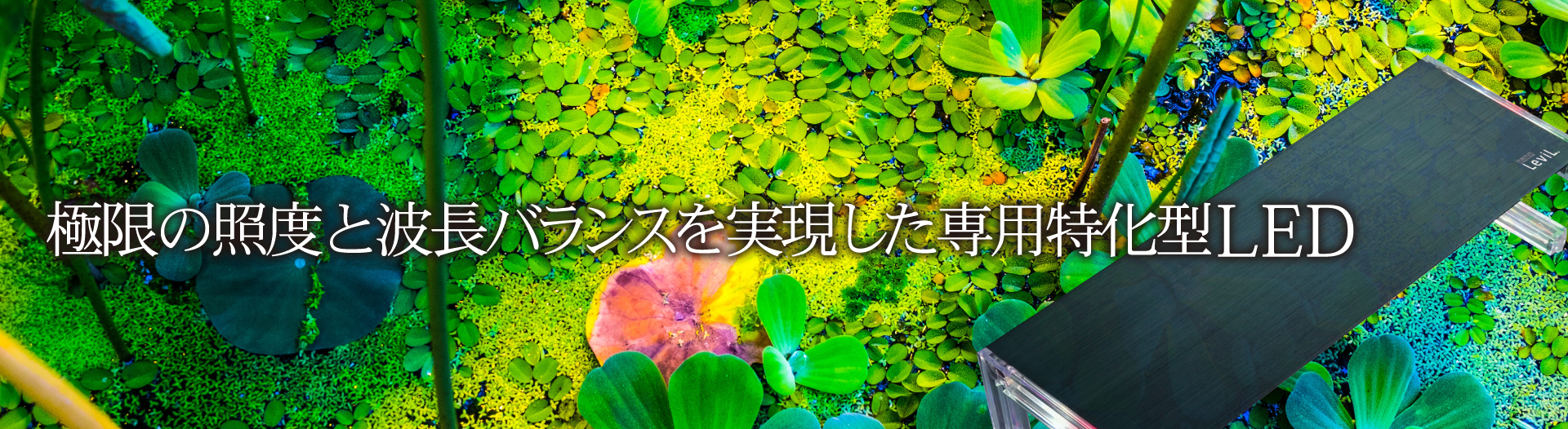 極限の照度と波長バランスを実現した専用特化型LED