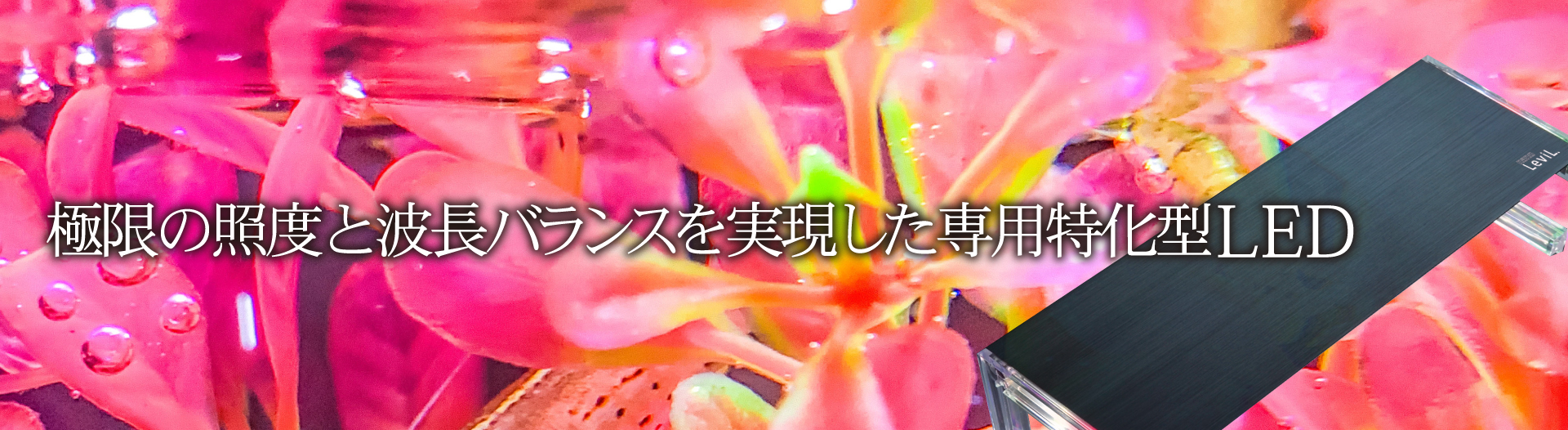 極限の照度と波長バランスを実現した専用特化型LED