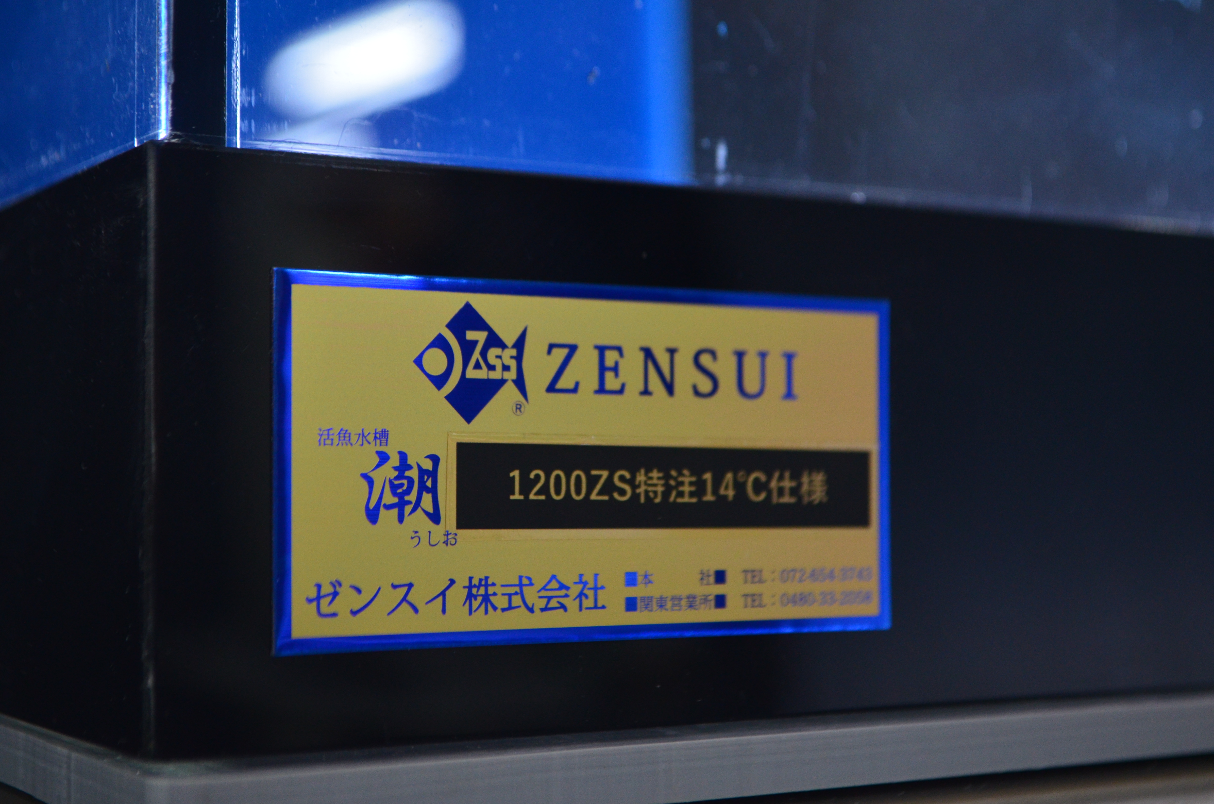 東京都　潮1200ZS　新規入替　活魚水槽