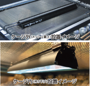 照射距離別UVI,UVB値