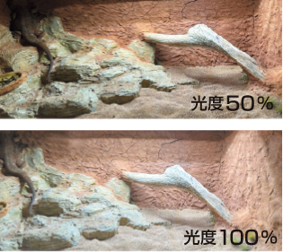 照射イメージ