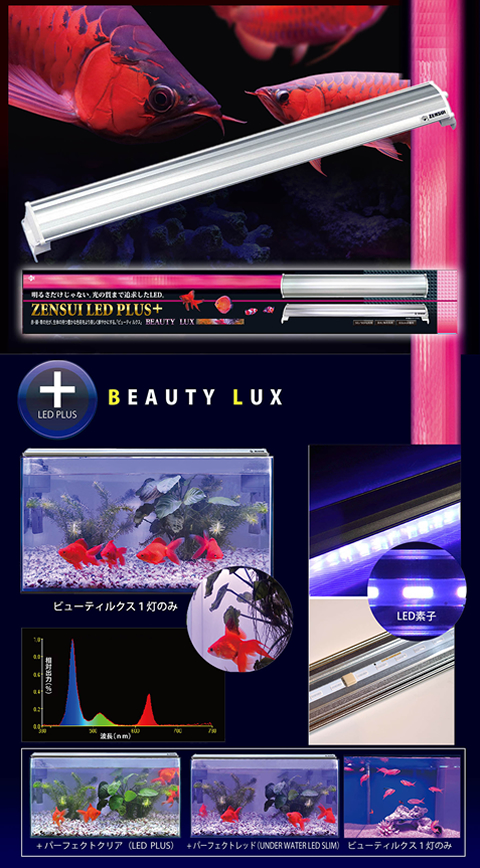 BEAUTY LUX