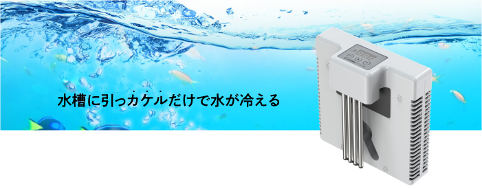 カケル