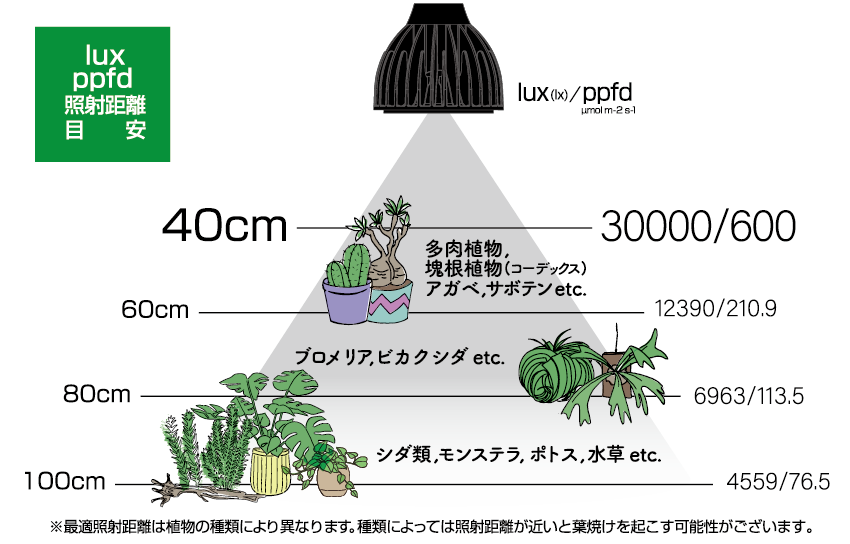 EverSun365 24W 照射距離