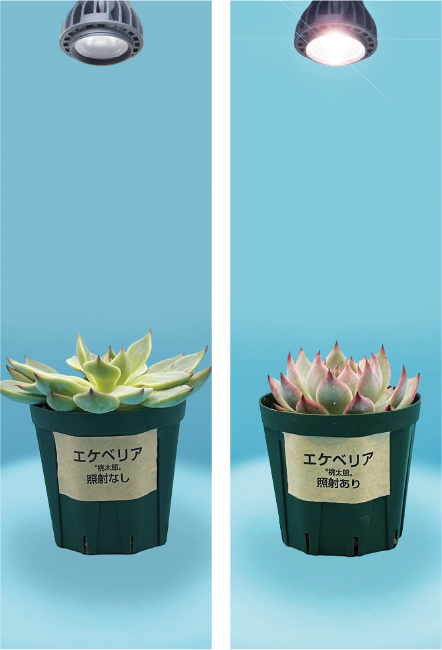 30日後