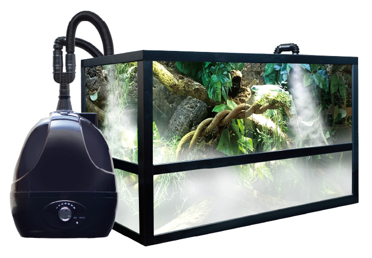DIGITEN 温湿度計 ゼンスイ Fog セット高 品質