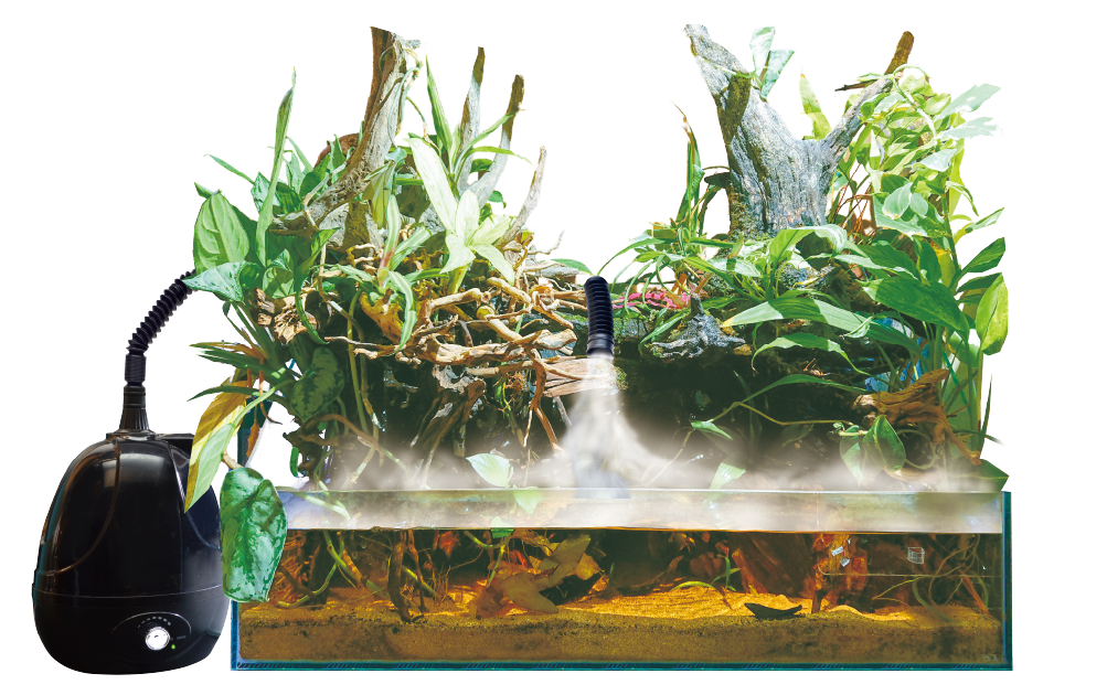DIGITEN 温湿度計　ゼンスイ　Fog セット Amazon | ゼンスイ Fog(フォグ) 爬虫類・植物加湿器 | ゼンスイ