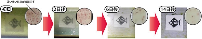 UVバズーカ使用実験例