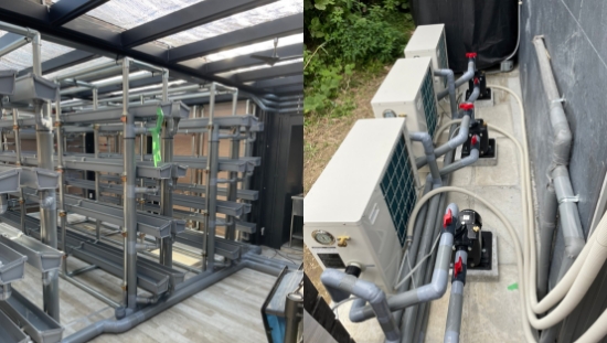 屋内大型水耕栽培棚への導入