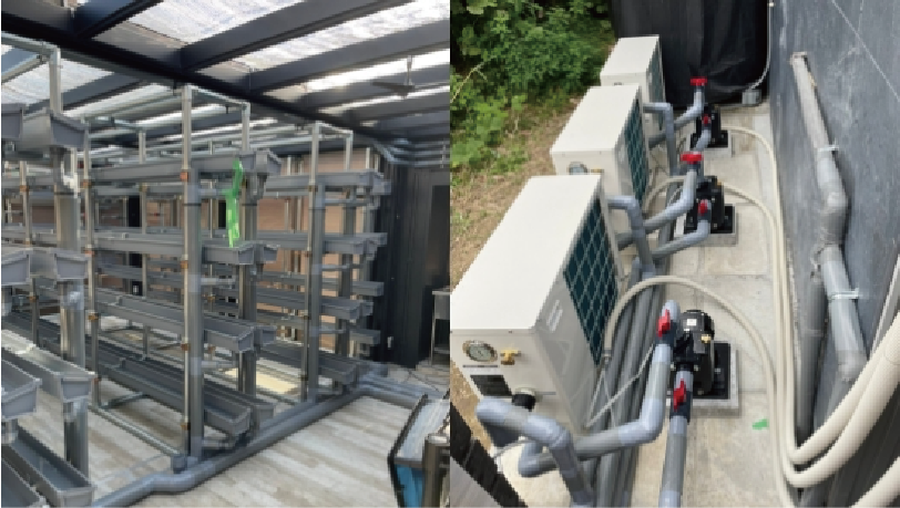 屋内大型水耕栽培棚への導入