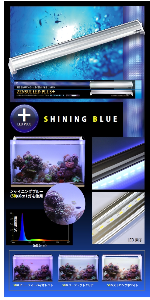 SHINING BLUE