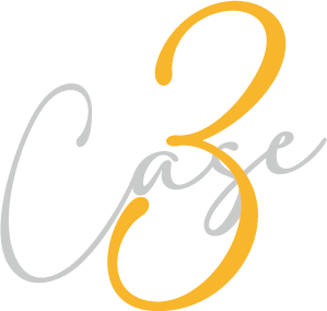 case3