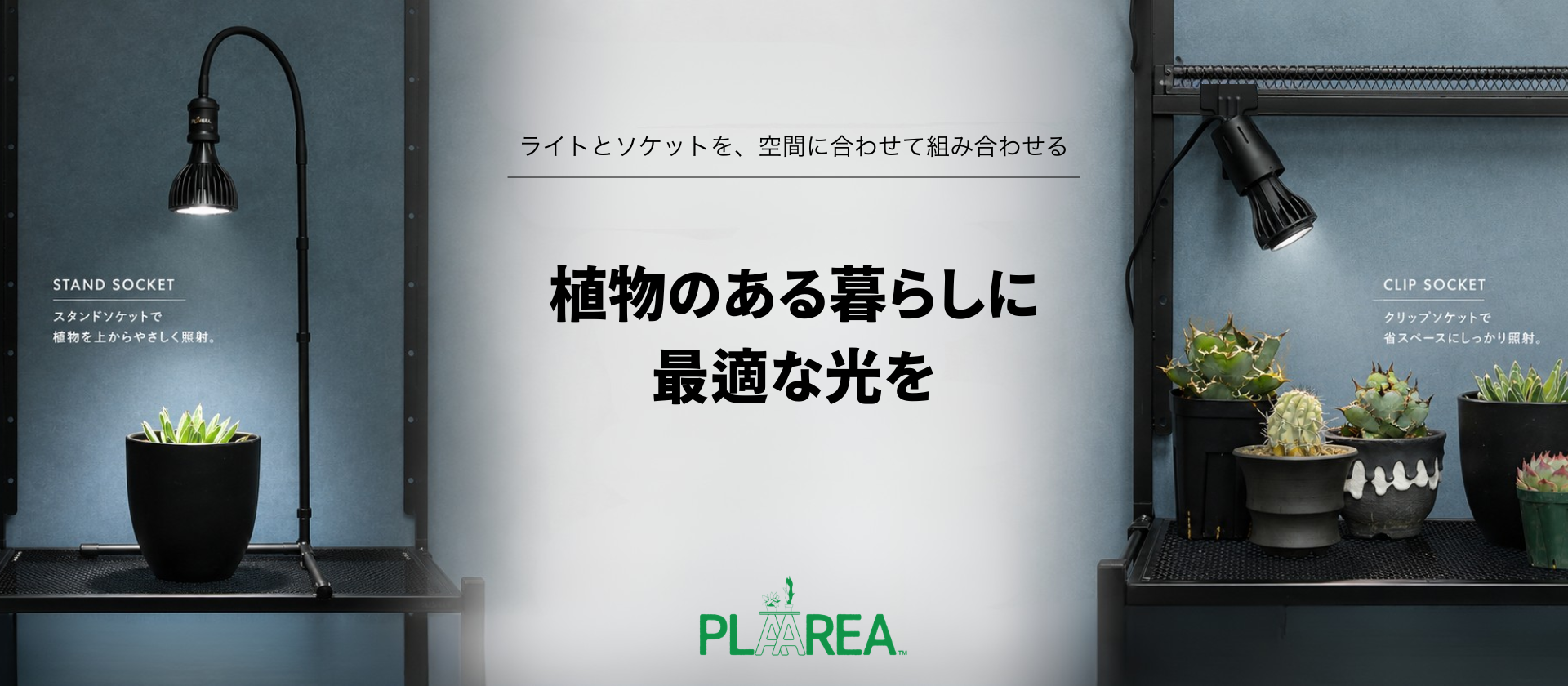 植物育成ライト