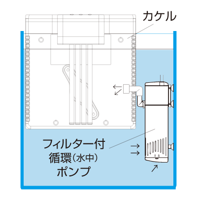フィルター付き水中ポンプ併用