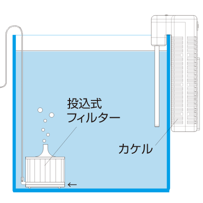 投込式フィルター併用