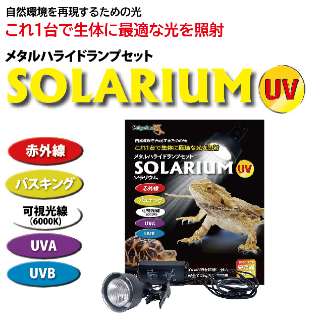 SOLARIUM UV