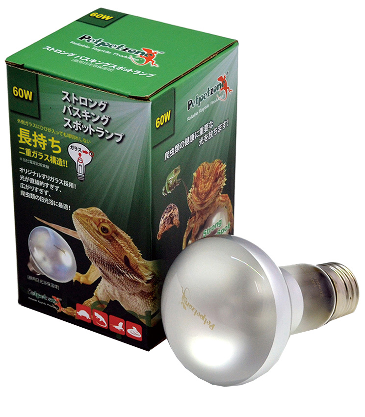 ストロングシリーズ