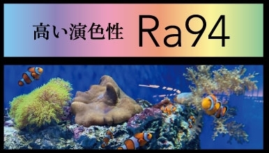 高い演色性