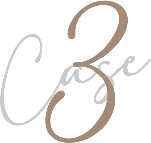 case3