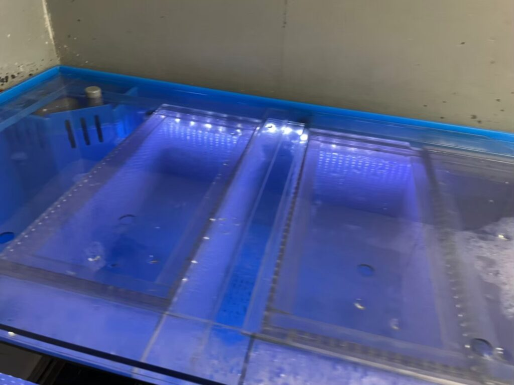 吊り型エビカゴ【活魚水槽オプション製品】 | 水槽設置・メンテナンス